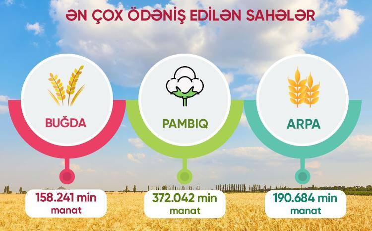  Aqrar Sığorta Fondu fermerlərə ödənişlərini açıqladı - RƏQƏMLƏR 