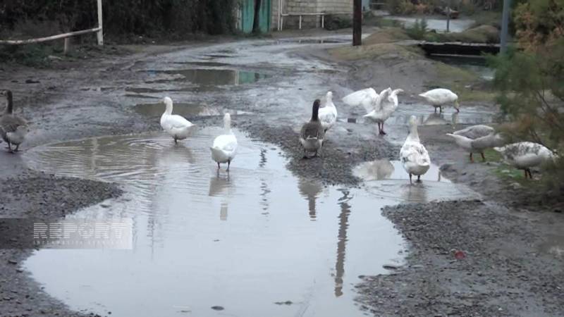  Ucarın acınacaqlı vəziyyətdə olan yolları - FOTO  