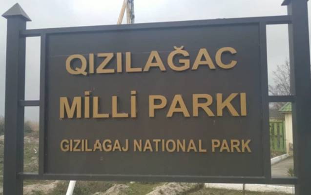  Milli parkda elektrik cərəyanı ilə ov etdi 