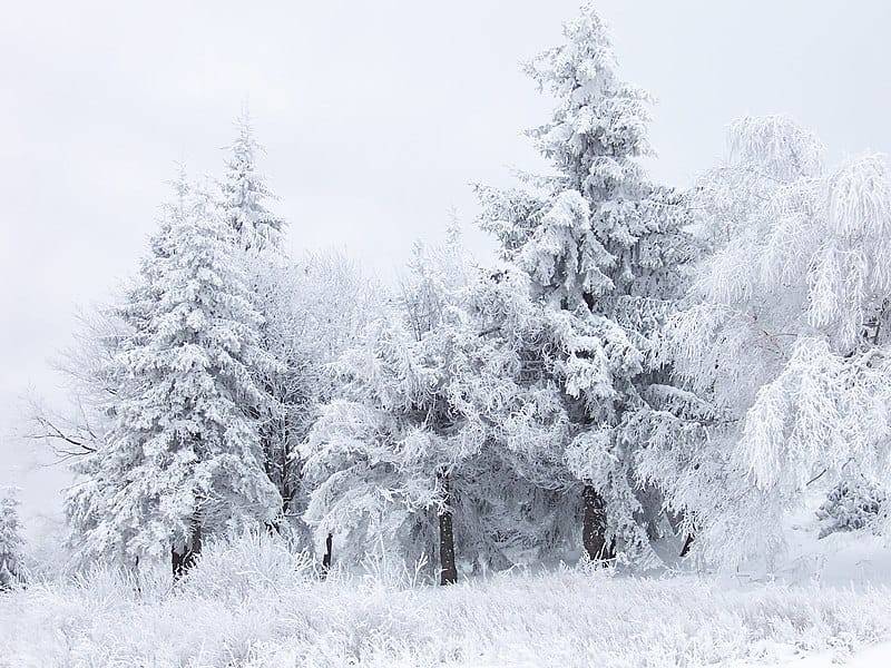  Qar yağacaq, şaxta olacaq, yollar buz bağlayacaq - HAVA PROQNOZU 