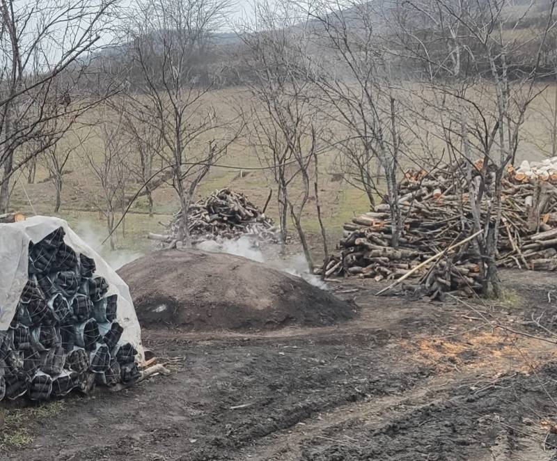  Qanunsuz fəaliyyət göstərən 5 ağac kömürü istehsal edən müəsisə aşkarlanıb - FOTO  