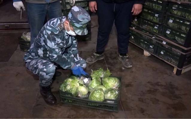  Ölkəyə kahı formasında külli miqdarda narkotik keçirmək istədilər - Video 