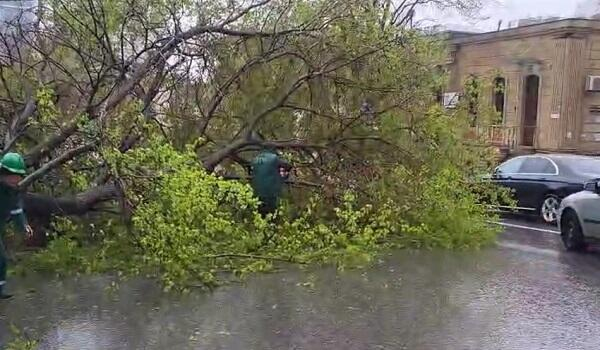  Bu ərazidə ağac aşdı, yol bağlandı  