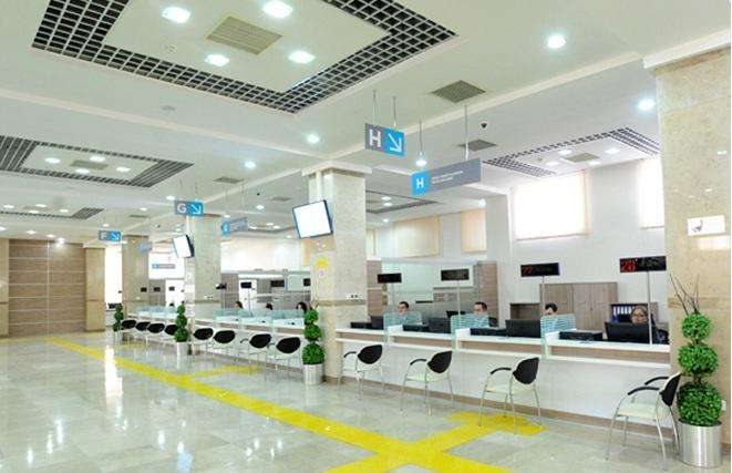  Saxta sənədlə 20 ildir Almaniyaya sığınan Aidə ifşa oldu  