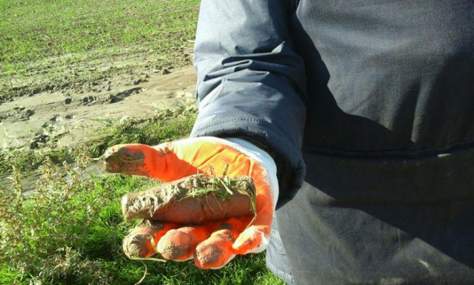  Azad edilmiş ərazilərdə daha 191 mina, 1661 PHS aşkarlandı  