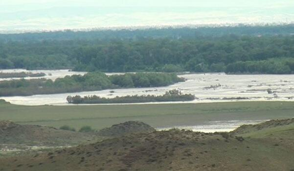  Kür çayı daşdı: Samuxda əkin sahələrini su basdı  