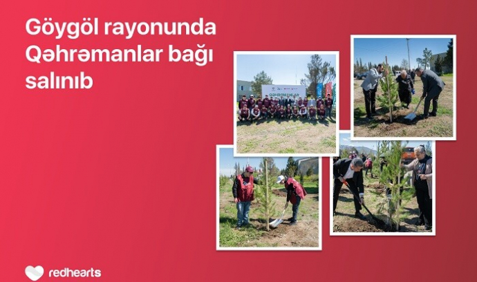  Göygöldə “Qəhrəmanlar bağı” aksiyası həyata keçirilib  