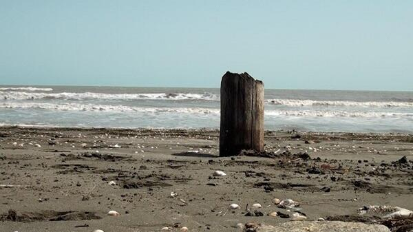  Xəzər sahilində ev tikənlərə xəbərdarlıq - Video  