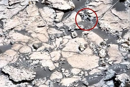  Şuşakənddə insan sümüyünə bənzər qalıqlar aşkarlandı  