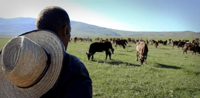  Çoban işlədiyi fermada ölü tapıldı  