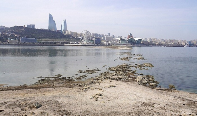  Xəzər çəkilir: Bakı buxtası ilə bağlı həyəcan siqnalı - Foto  
