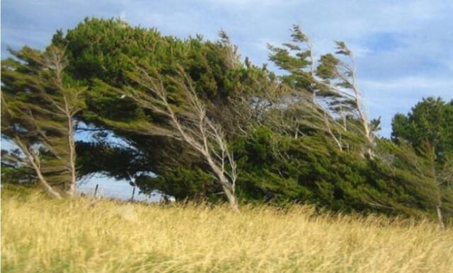  Güclü külək əsəcək – Sarı xəbərdarlıq  