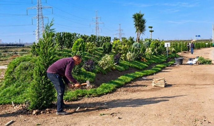  Sumqayıtda genişmiqyaslı abadlıq və yaşıllaşdırma işləri aparılır  